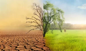 condizioni climatiche