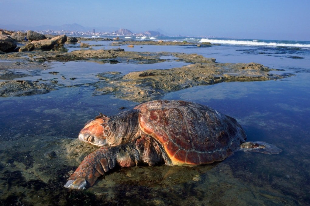 Quali sono le condizioni di mare e venti in Sicilia durante l’estate