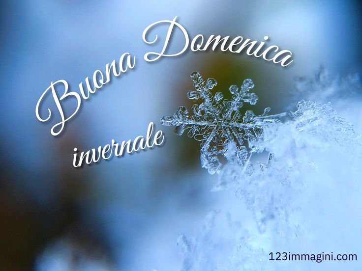 Buongiorno, come rendere speciale una domenica invernale 7 Buongiorno, come rendere speciale una domenica invernale
