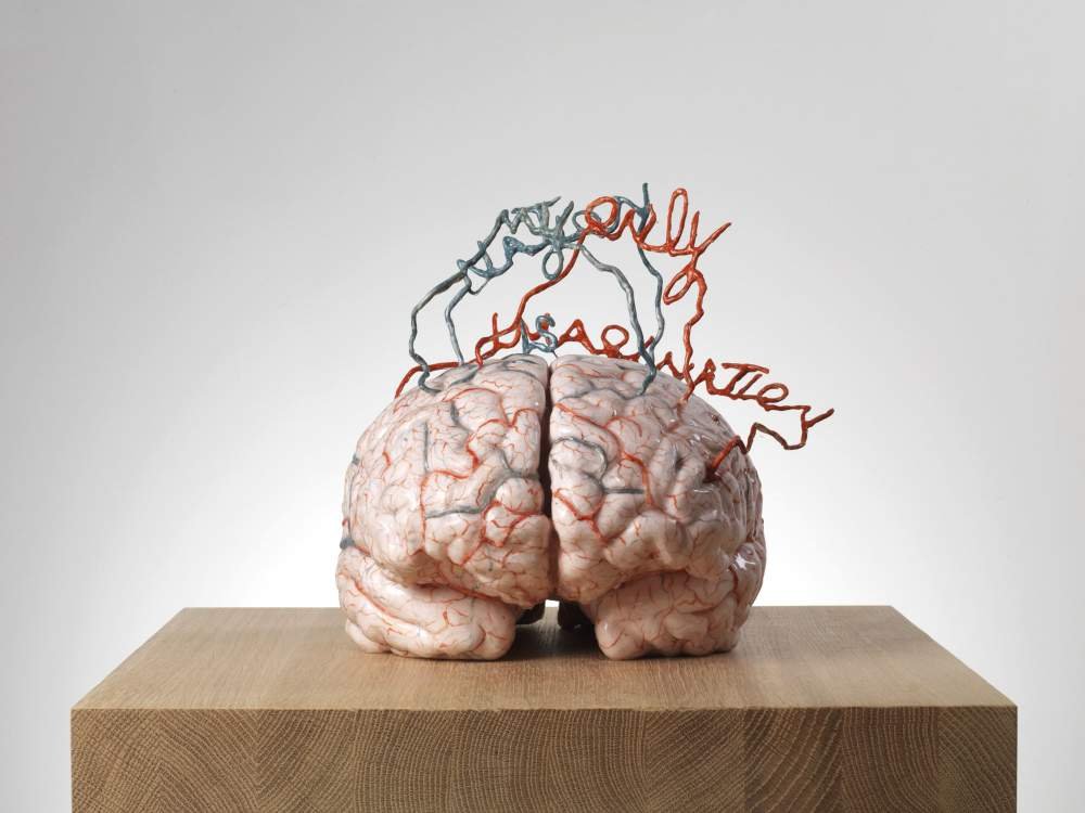 Cosa Significa L'Espressione "Scarpe Grosse e Cervello Fino" 3 Cosa Significa L’Espressione «Scarpe Grosse e Cervello Fino»