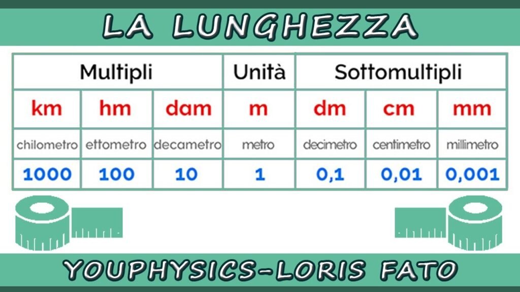 Quanto misura la lunghezza del rene in un adulto