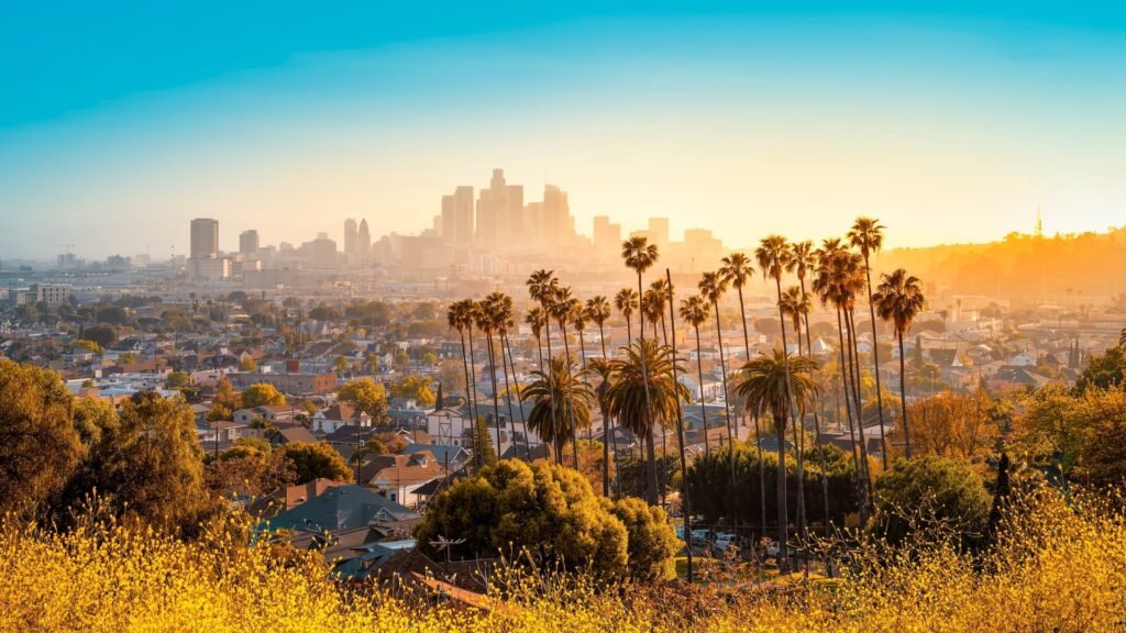 Qual è il miglior cappello Los Angeles nero da acquistare online