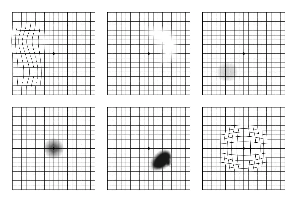 Si Paga Per Il Secondo Tentativo Della Teoria Per La Patente 6 Si Paga Per Il Secondo Tentativo Della Teoria Per La Patente