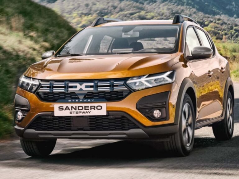 sandero stepway 1