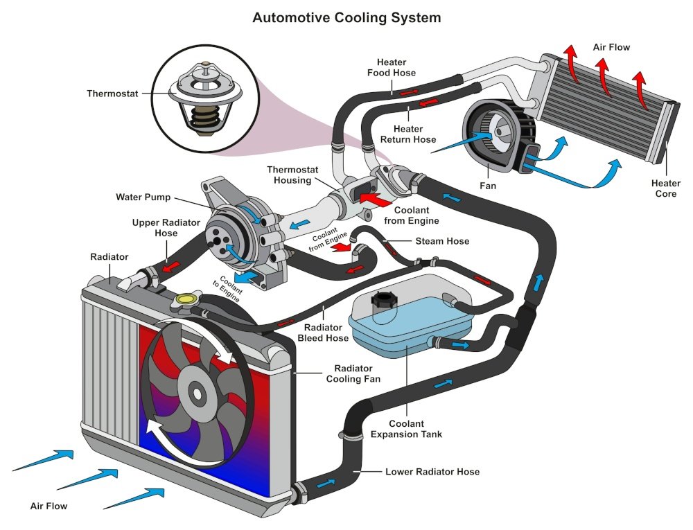 termostato auto