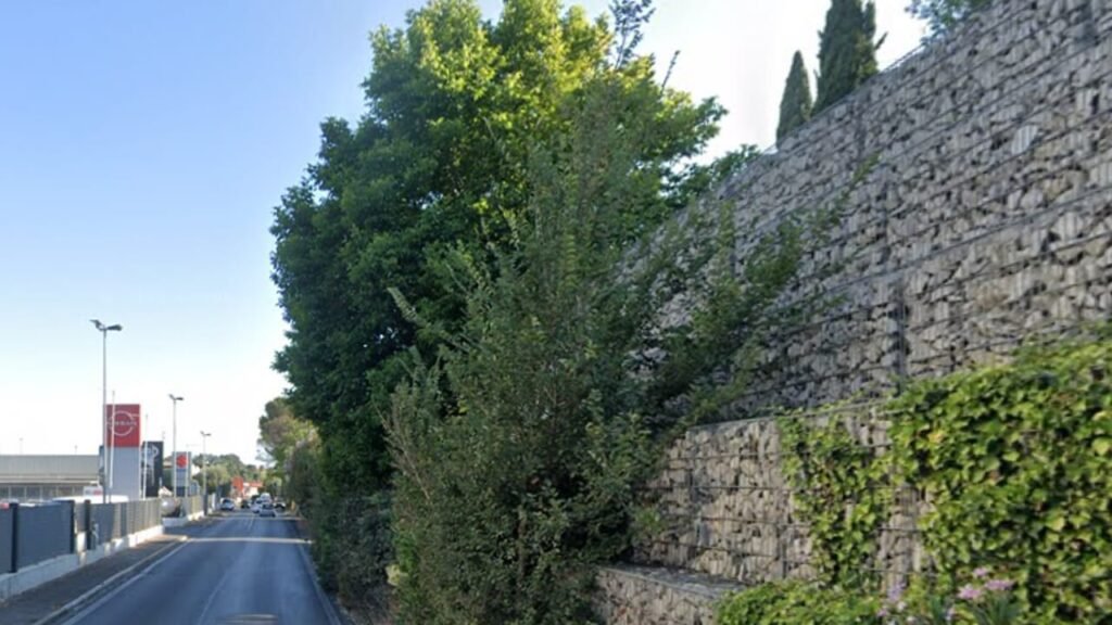 Quali fiori puoi trovare lungo Via della Maglianella a Roma